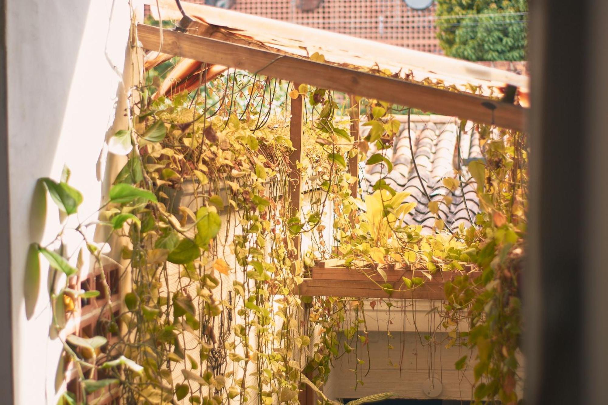 Casa Estación Hostal y Restaurante Medellín Exterior foto